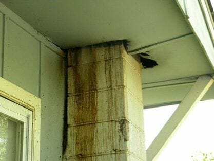 Henrico Bat damage on house exterior