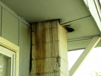 bat nest entry point under roof